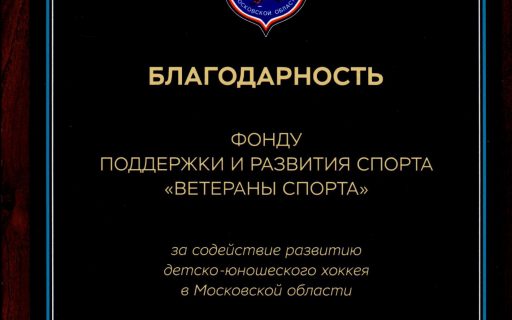 Президент Федерации хоккея Московской области В.В. Каменский